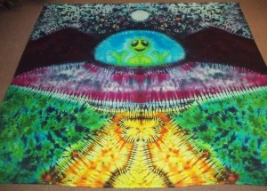 2015 Stonehenge Music Festival   